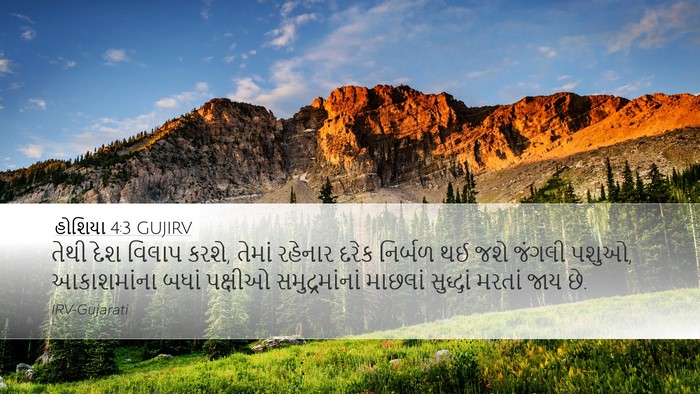 હોશિયા 4:3 GUJIRV Bible Verse Image