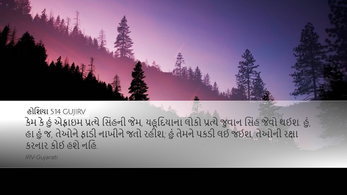 હોશિયા 5:14 GUJIRV Bible Verse Image