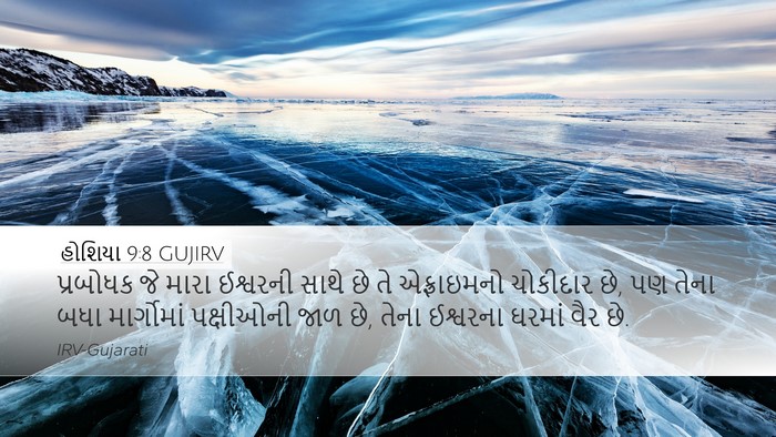હોશિયા 9:8 GUJIRV Bible Verse Image
