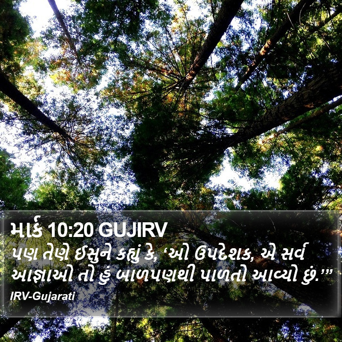 માર્ક 10:20 GUJIRV - પણ તેણે ઈસુને