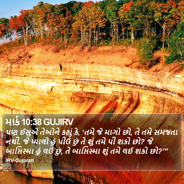 માર્ક 10:38 GUJIRV - પણ ઈસુએ તેઓને
