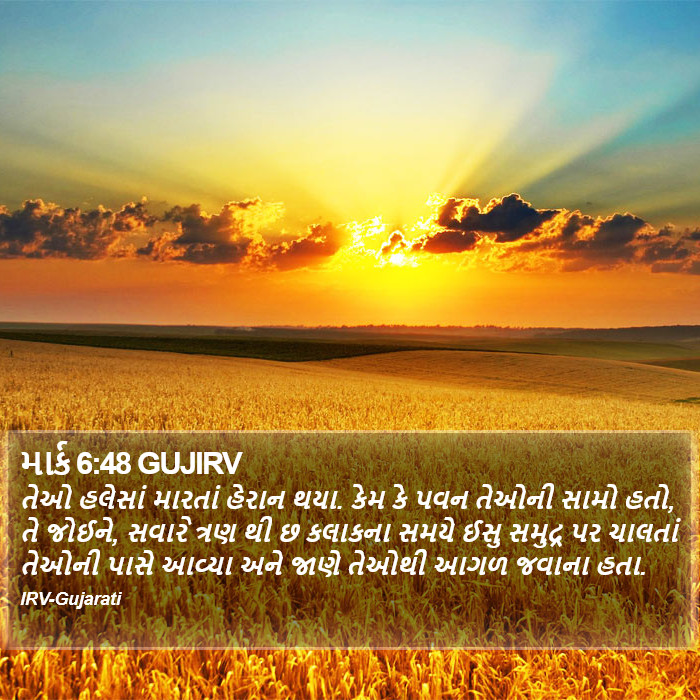 માર્ક 6:48 GUJIRV - તેઓ હલેસાં મારતાં