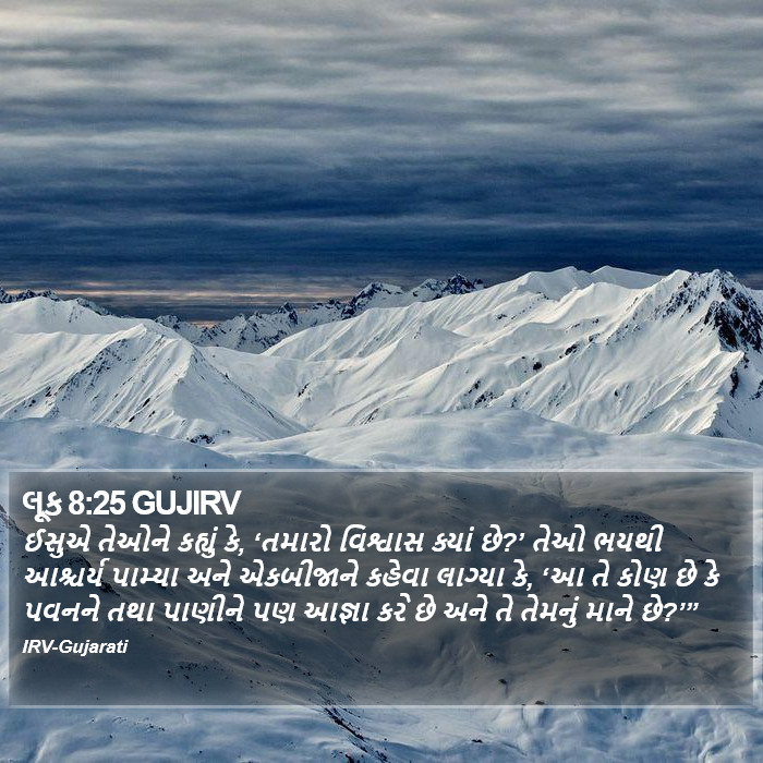 લૂક 8:25 GUJIRV - ઈસુએ તેઓને કહ્યું