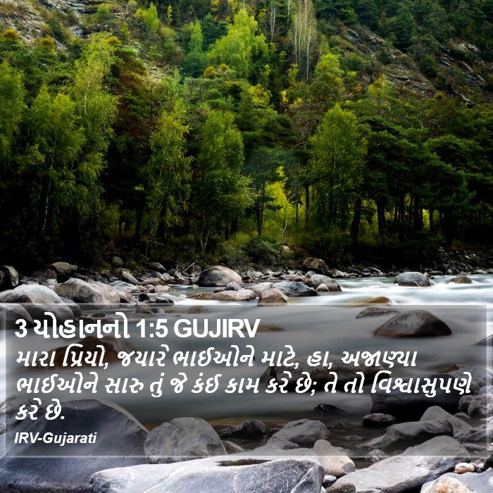 3 યોહાનનો 1:5 GUJIRV - મારા પ્રિયો, જયારે - Bible Verse Picture