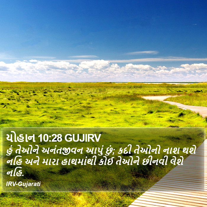 યોહાન 10:28 GUJIRV - હું તેઓને - Bible Verse Picture