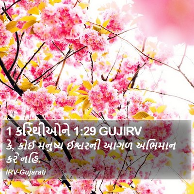 1 કરિંથીઓને 1:29 GUJIRV Bible Verse Image