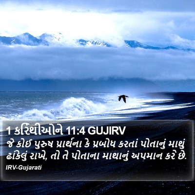 1 કરિંથીઓને 11:4 GUJIRV Bible Verse Image