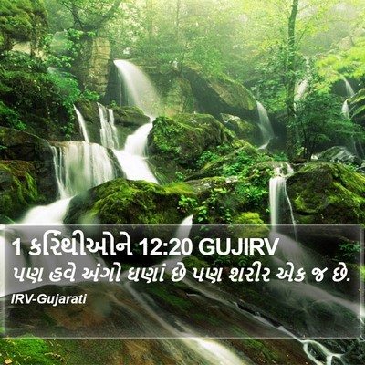 1 કરિંથીઓને 12:20 GUJIRV Bible Verse Image