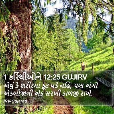 1 કરિંથીઓને 12:25 GUJIRV Bible Verse Image