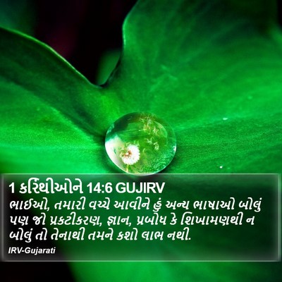 1 કરિંથીઓને 14:6 GUJIRV Bible Verse Image