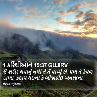 1 કરિંથીઓને 15:37 GUJIRV Bible Verse Image