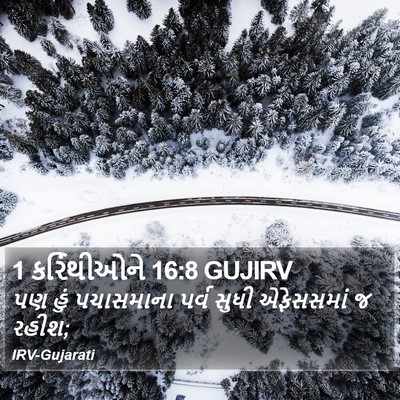 1 કરિંથીઓને 16:8 GUJIRV Bible Verse Image