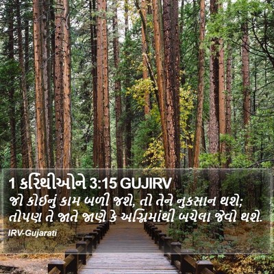 1 કરિંથીઓને 3:15 GUJIRV Bible Verse Image