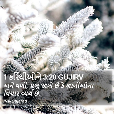 1 કરિંથીઓને 3:20 GUJIRV Bible Verse Image