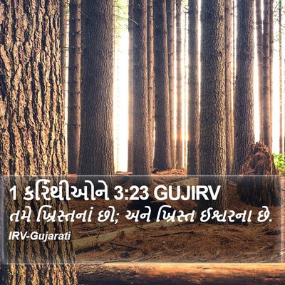 1 કરિંથીઓને 3:23 GUJIRV Bible Verse Image