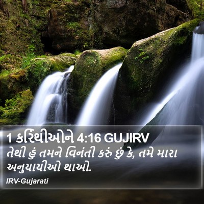 1 કરિંથીઓને 4:16 GUJIRV Bible Verse Image
