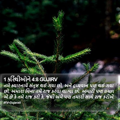 1 કરિંથીઓને 4:8 GUJIRV Bible Verse Image
