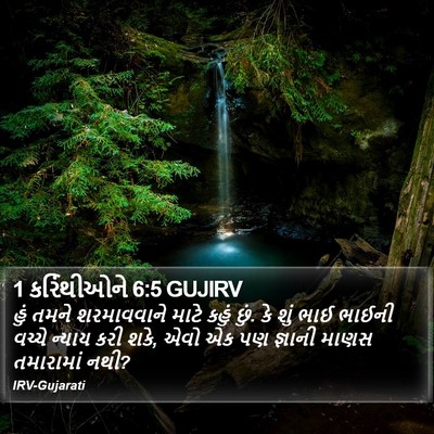 1 કરિંથીઓને 6:5 GUJIRV Bible Verse Image