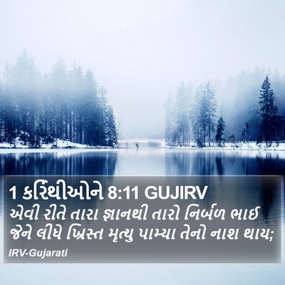 1 કરિંથીઓને 8:11 GUJIRV Bible Verse Image