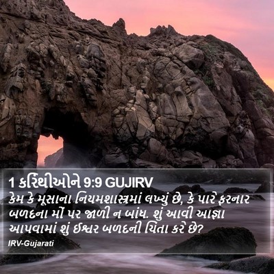 1 કરિંથીઓને 9:9 GUJIRV Bible Verse Image