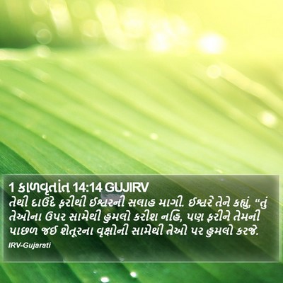 1 કાળવૃતાંત 14:14 GUJIRV Bible Verse Image