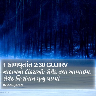 1 કાળવૃતાંત 2:30 GUJIRV Bible Verse Image
