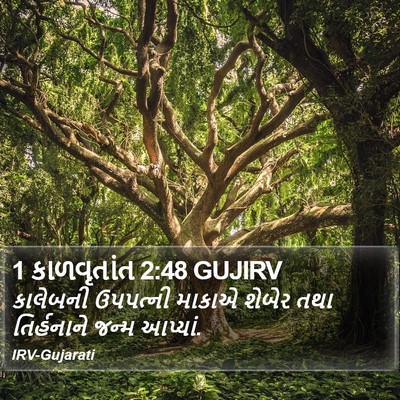 1 કાળવૃતાંત 2:48 GUJIRV Bible Verse Image
