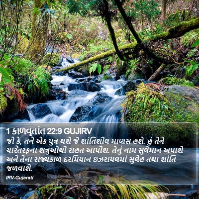 1 કાળવૃતાંત 22:9 GUJIRV Bible Verse Image