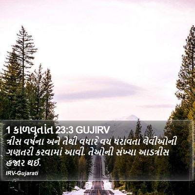 1 કાળવૃતાંત 23:3 GUJIRV Bible Verse Image