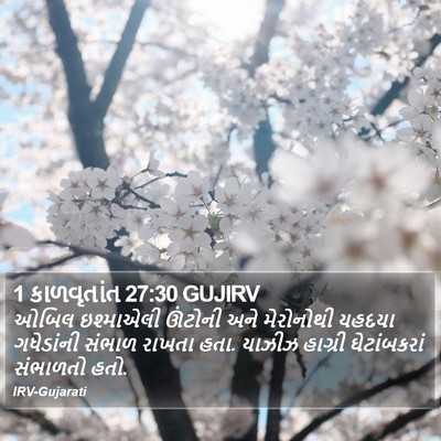 1 કાળવૃતાંત 27:30 GUJIRV Bible Verse Image