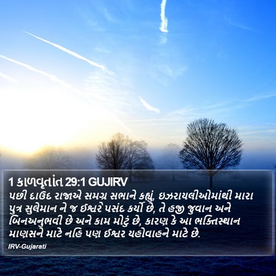 1 કાળવૃતાંત 29:1 GUJIRV Bible Verse Image