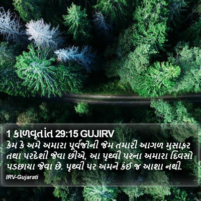 1 કાળવૃતાંત 29:15 GUJIRV Bible Verse Image