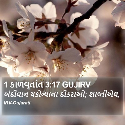 1 કાળવૃતાંત 3:17 GUJIRV Bible Verse Image