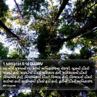 1 કાળવૃતાંત 5:14 GUJIRV Bible Verse Image