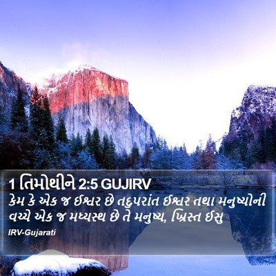 1 તિમોથીને 2:5 GUJIRV Bible Verse Image