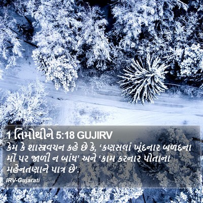 1 તિમોથીને 5:18 GUJIRV Bible Verse Image
