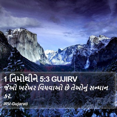 1 તિમોથીને 5:3 GUJIRV Bible Verse Image