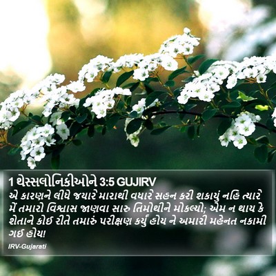 1 થેસ્સલોનિકીઓને 3:5 GUJIRV Bible Verse Image