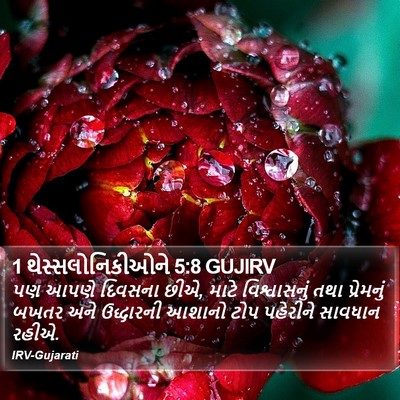1 થેસ્સલોનિકીઓને 5:8 GUJIRV Bible Verse Image