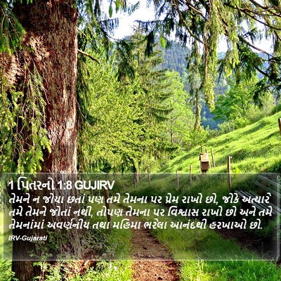 1 પિતરનો 1:8 GUJIRV Bible Verse Image