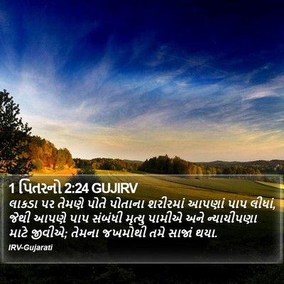 1 પિતરનો 2:24 GUJIRV Bible Verse Image