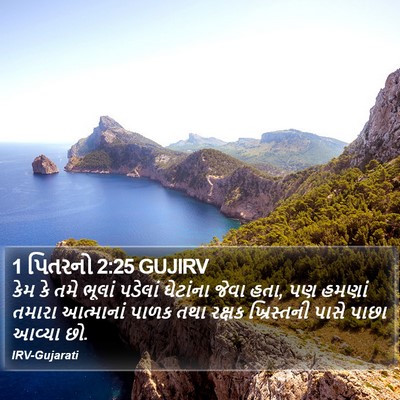 1 પિતરનો 2:25 GUJIRV Bible Verse Image
