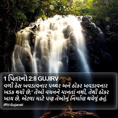 1 પિતરનો 2:8 GUJIRV Bible Verse Image