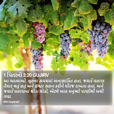 1 પિતરનો 3:20 GUJIRV Bible Verse Image