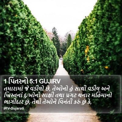 1 પિતરનો 5:1 GUJIRV Bible Verse Image