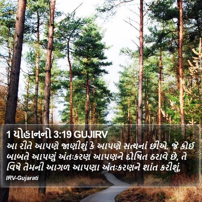 1 યોહાનનો 3:19 GUJIRV Bible Verse Image