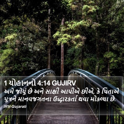 1 યોહાનનો 4:14 GUJIRV Bible Verse Image