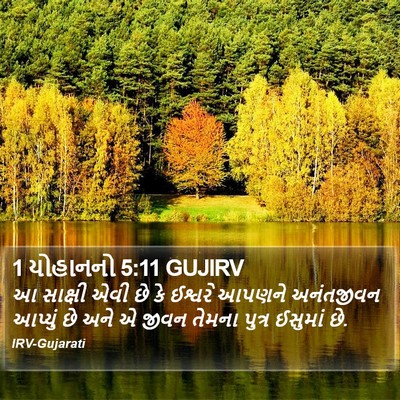 1 યોહાનનો 5:11 GUJIRV Bible Verse Image