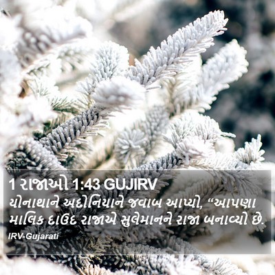 1 રાજાઓ 1:43 GUJIRV Bible Verse Image