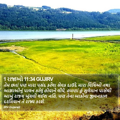 1 રાજાઓ 11:34 GUJIRV Bible Verse Image